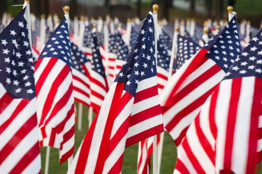 Veterans Day, phoenix, activity