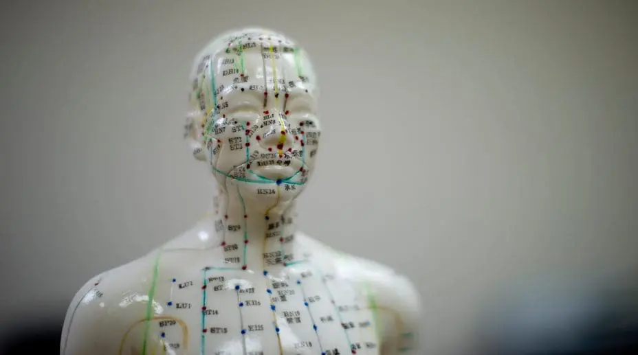 acupuncture, work