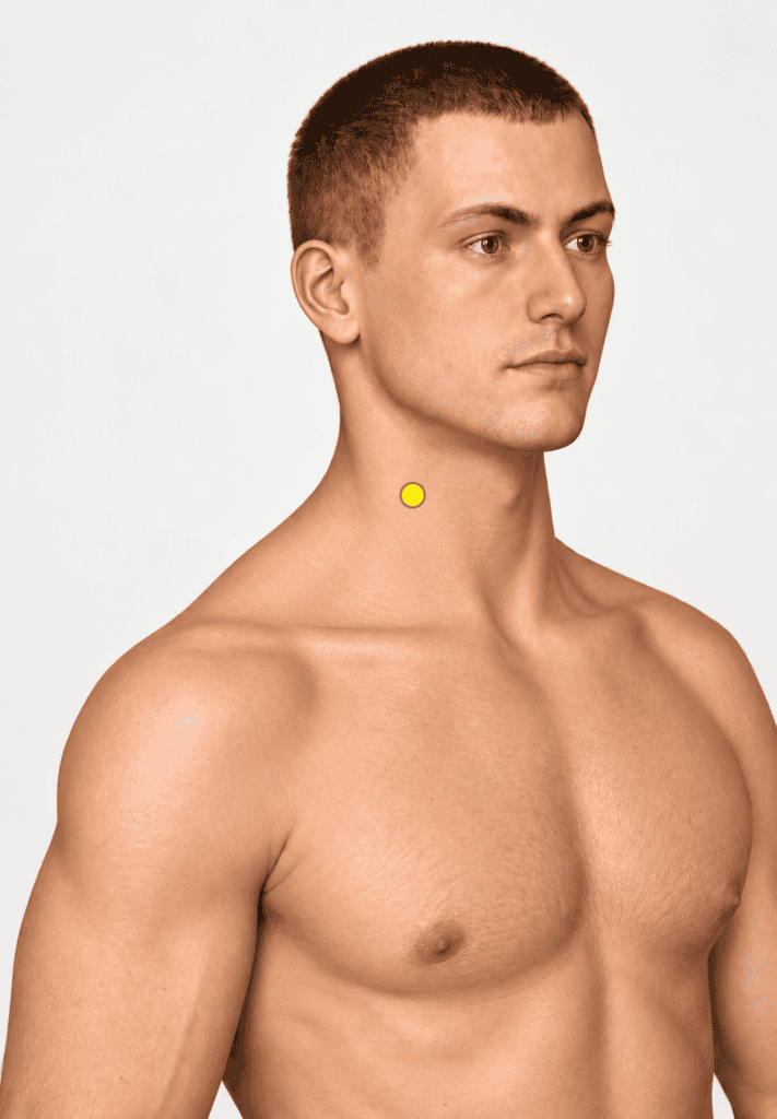 Close-up of the side of the neck with a yellow dot marker level with the Adam's apple on the neck muscle, indicating LI18.