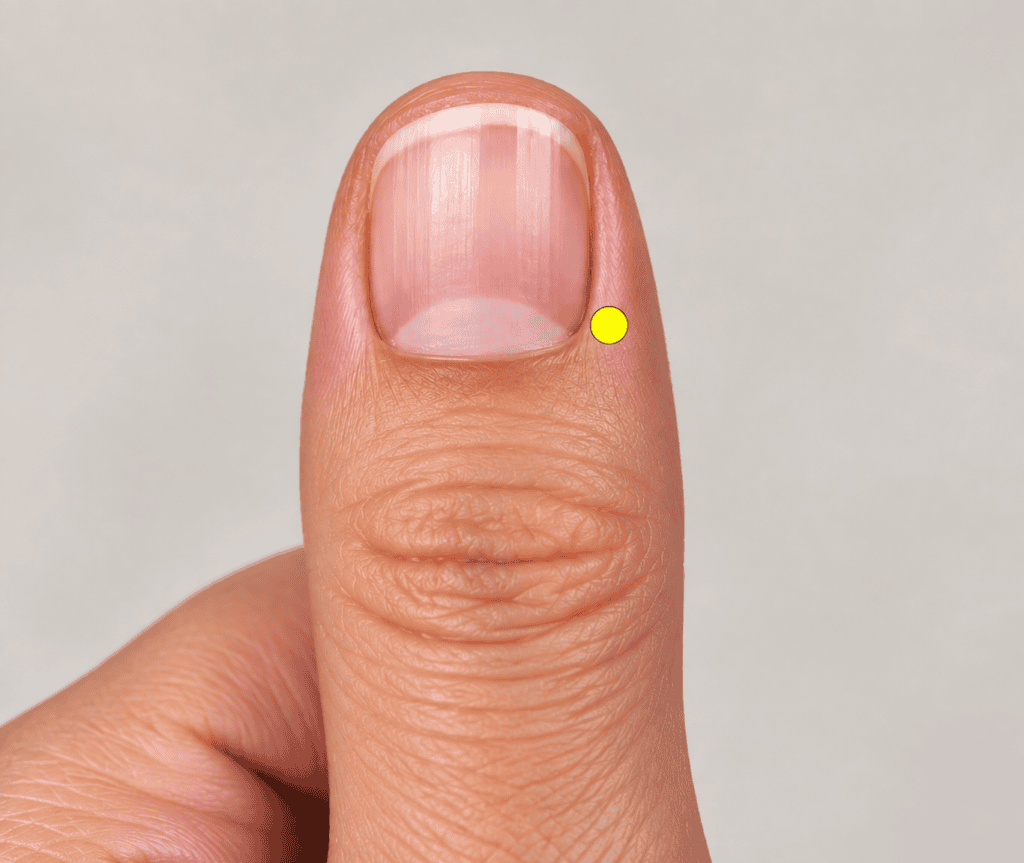 Close-up of a thumb with a yellow dot marker at the outer corner of the thumbnail, indicating LU11.