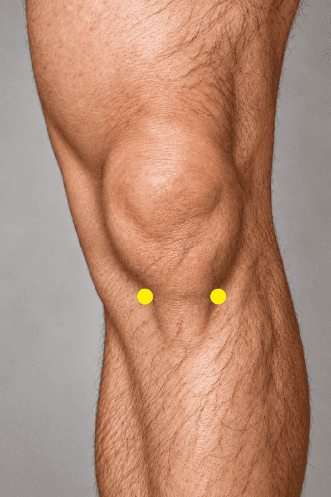 Close-up of a slightly bent knee with yellow dot markers in the two hollows on either side of the tendon below the kneecap, indicating Xiyan.