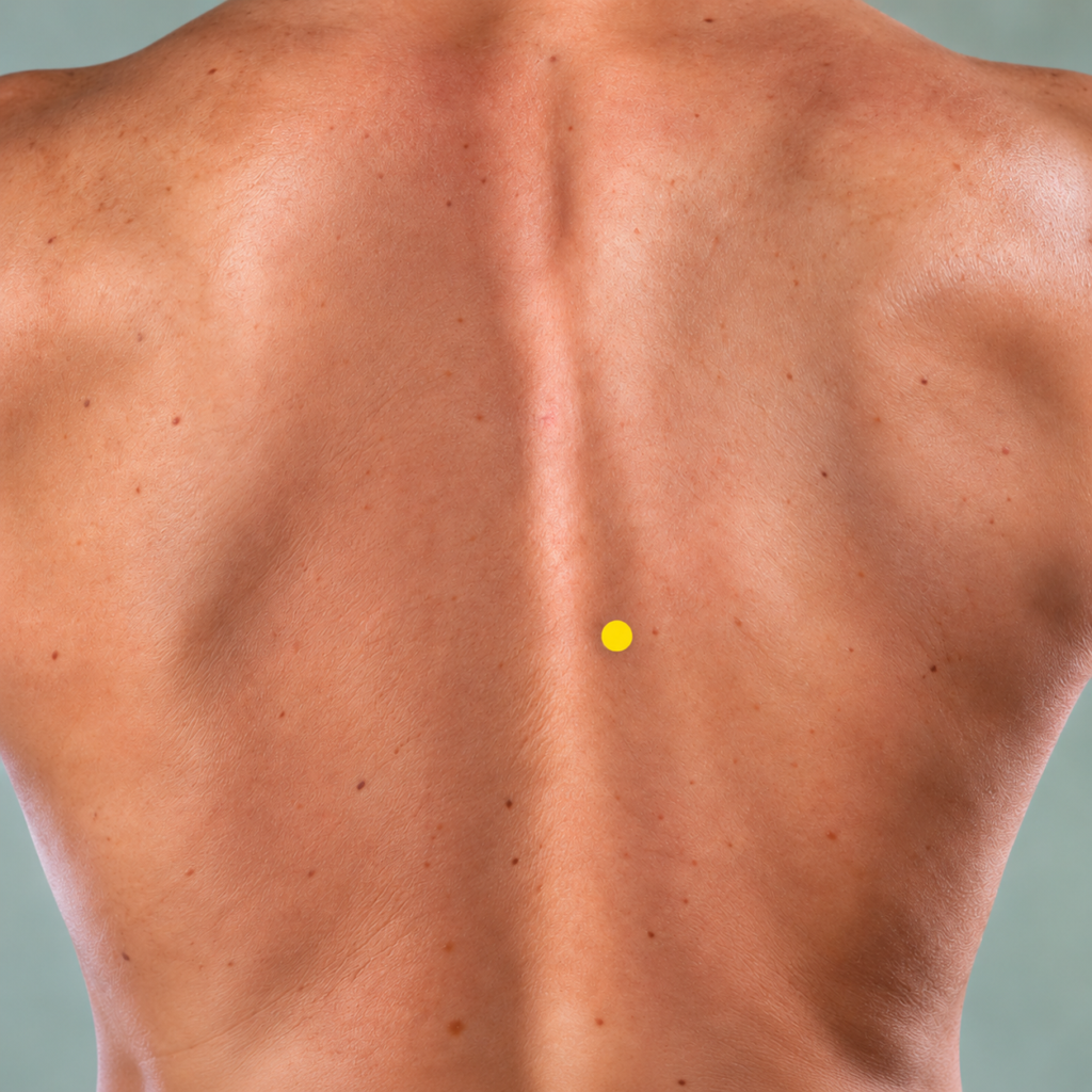 Close-up of a mid back with yellow dot markers two finger-widths out from the spine level with the bottom tips of the shoulder blades, indicating BL17.