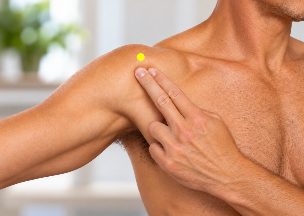 Close-up of a shoulder with a yellow dot marker in the front hollow at the outer edge of the shoulder, indicating LI15.