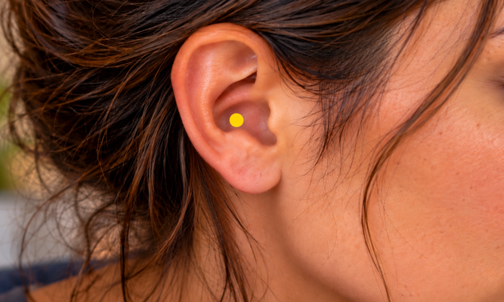Close-up of a woman’s outer ear with a yellow dot marking the concha, the bowl-shaped hollow associated with the auricular branch of the vagus nerve.
