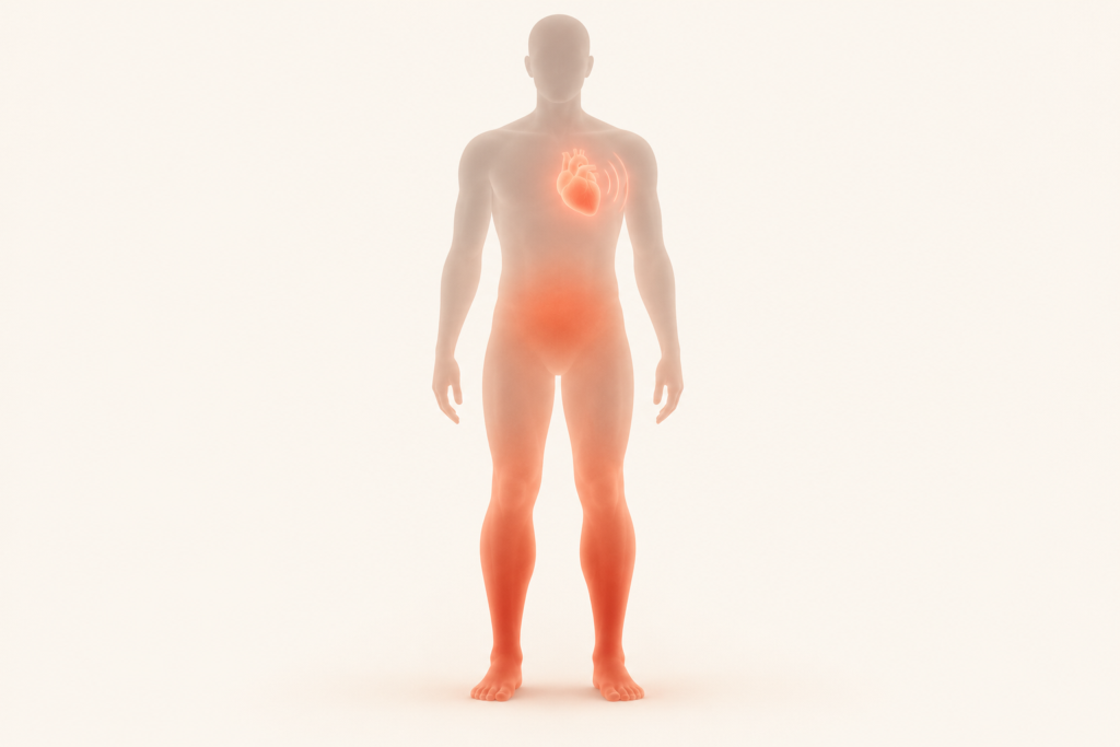 Illustration of a standing figure with warm shading pooling in the legs and a faster-beating heart symbol.