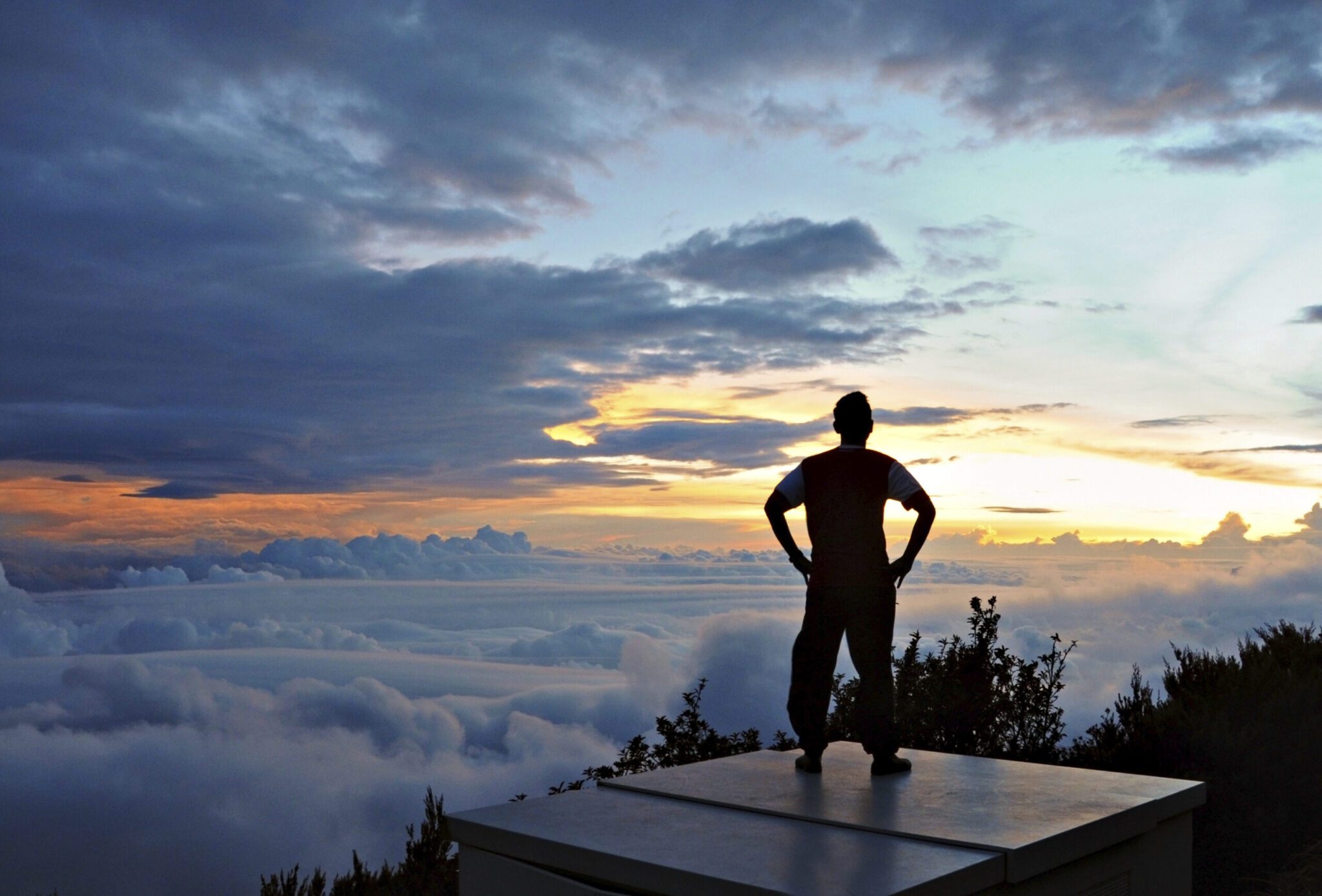 character, define, scottsdale