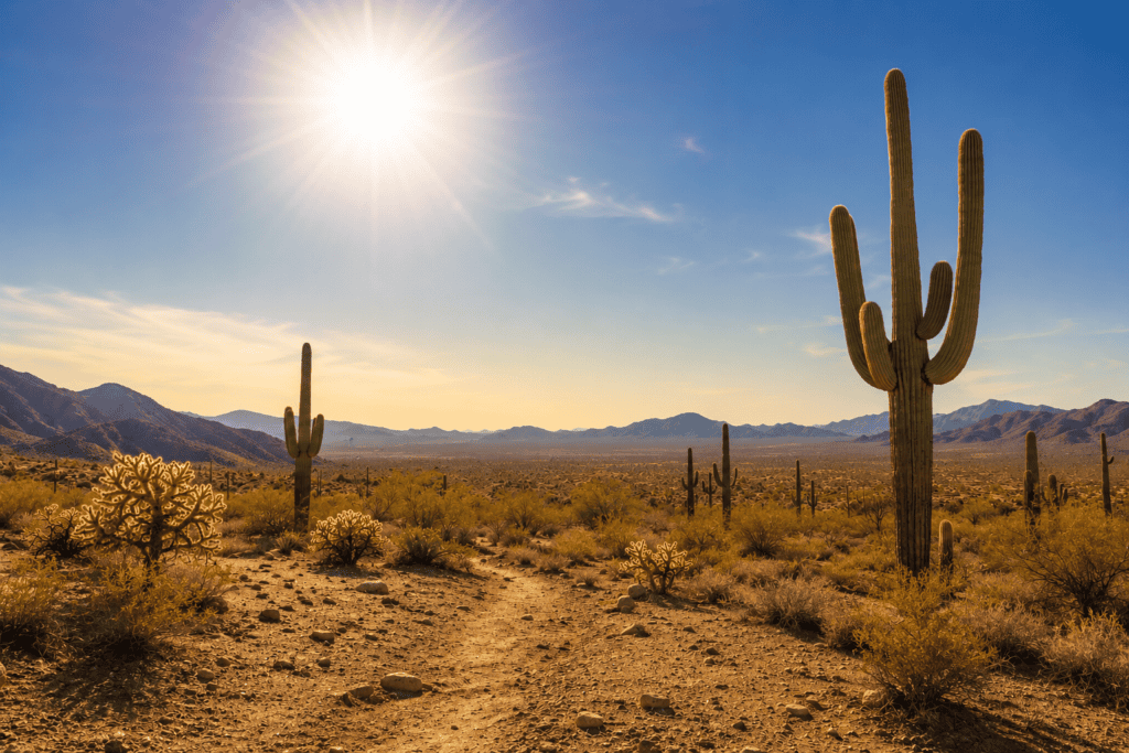 The Sonoran desert landscape near Scottsdale, Arizona under intense afternoon sun with heat waves rising from the ground and saguaro cacti visible.