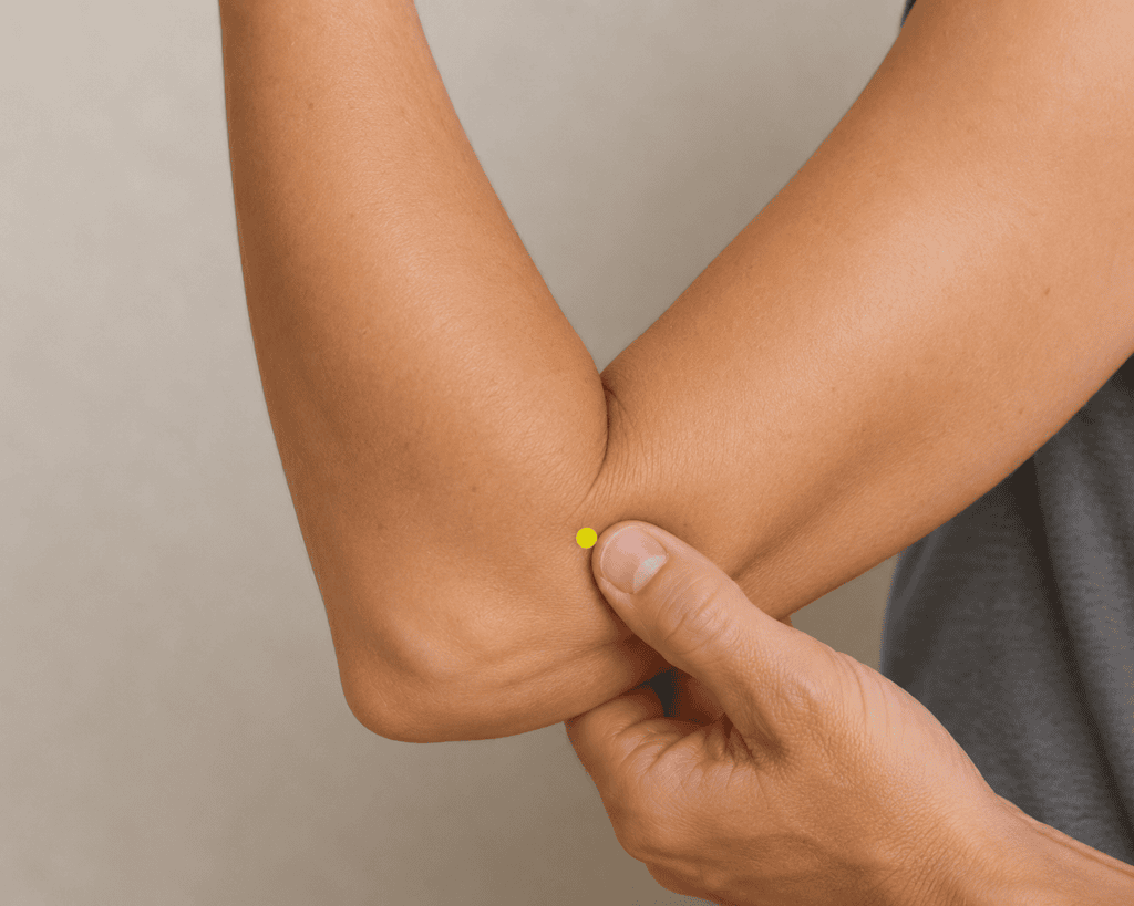 Close-up of an elbow crease with a yellow dot marker at the outer end of the crease when the arm is bent in the depression between the end of the crease and the outer edge of the elbow, indicating the location of LI11.