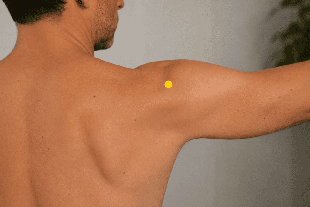 Close-up of the back of a shoulder with a yellow dot marker in the depression that appears when the arm is raised indicating the location of SJ14.