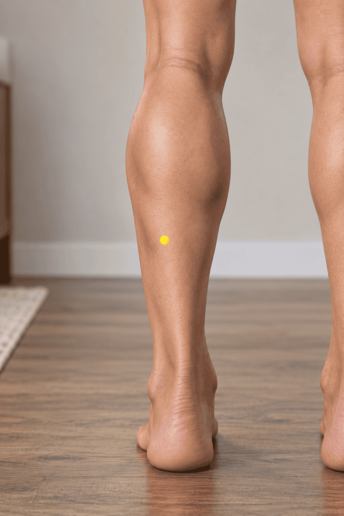 Close-up of the back of a lower leg with a yellow dot marker below and outside BL57, above the outer ankle, indicating BL58.