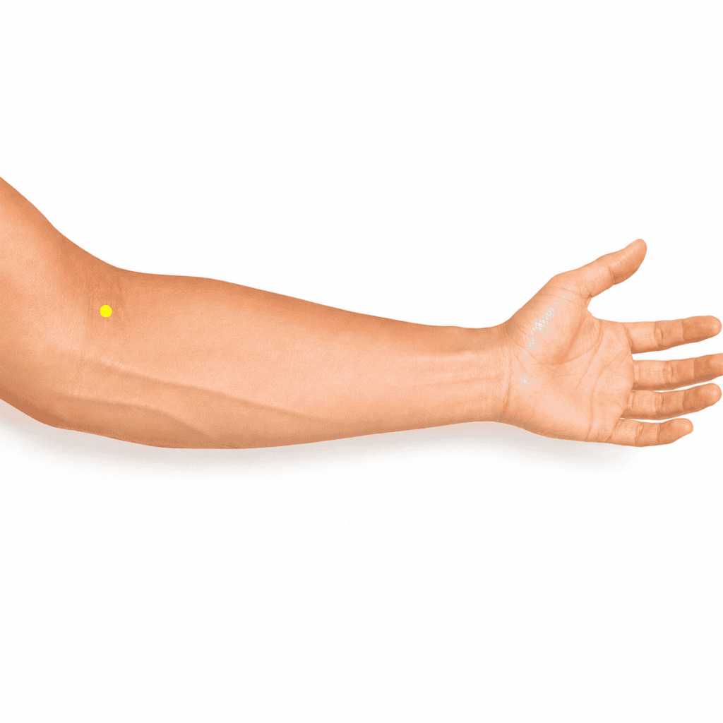 Close-up of an inner elbow crease with a yellow dot marker on the thumb side just outside the central tendon, indicating LU5.